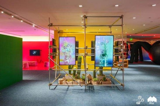 池绿山《虚拟植物景观装置》，数字影像，2022