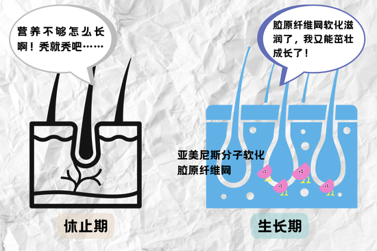 字体素材均来源于Canva