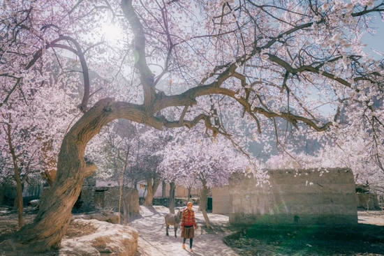@图虫创意