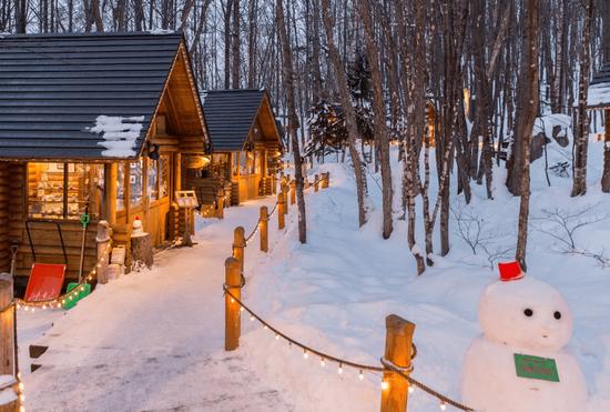 北海道这个浪漫雪国 一到冬天就美成童话