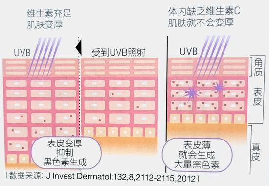 美肤成分维生素C 内服外涂的妙用有这些