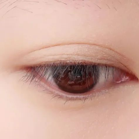 图源：小红书@早睡项崽