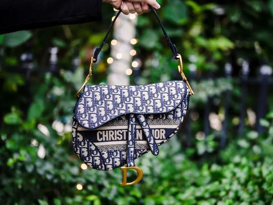 Dior Oblique马鞍包