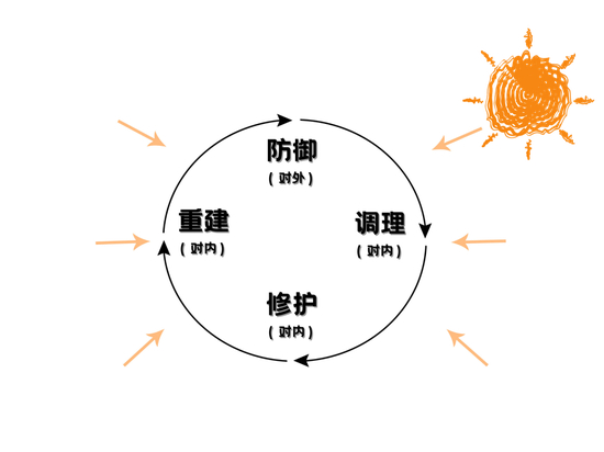 字体素材均来源于Canva
