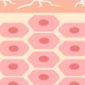 图源：图虫创意（下同）