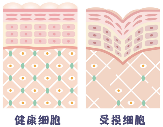 cr：图虫，canva制作