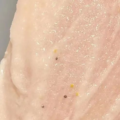 （cr：小红书@熊本便当🍱）