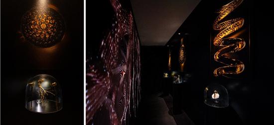 黑金肌源因子隧道，展示经由兰蔻专研生物技术工艺萃取的活性成分