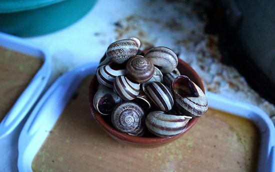 　　煮蜗牛