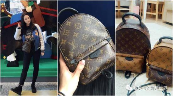 Louis Vuitton Palm Springs Mini Backpack Used 2990