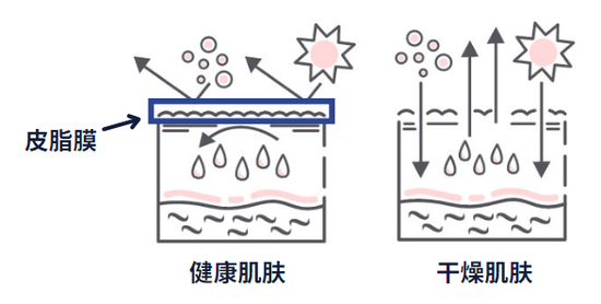 图源：图虫创意 制作：Canva