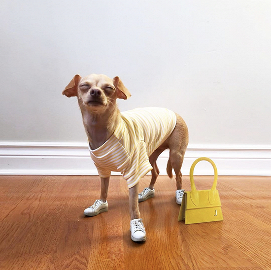 图片来源：Boobie Billie