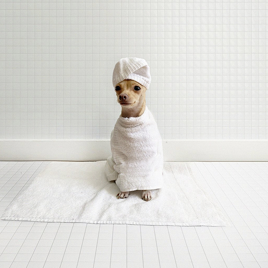 图片来源：Boobie Billie