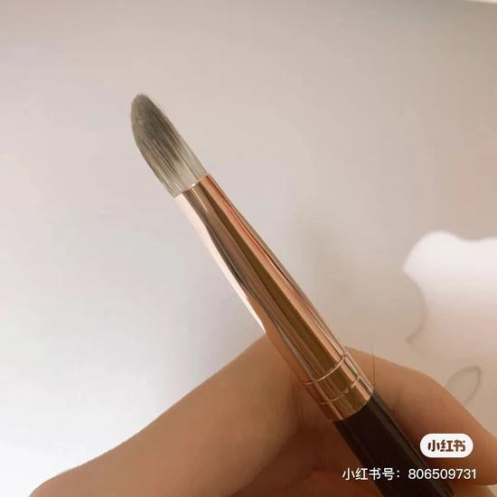 图源：小红书@胖头猫