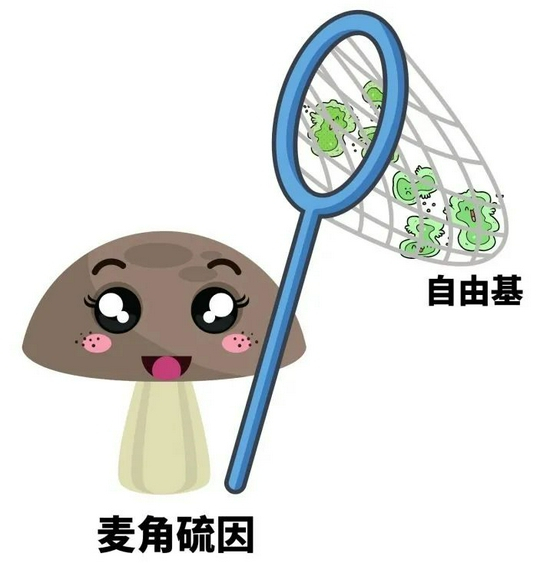 cr：canva（下同）
