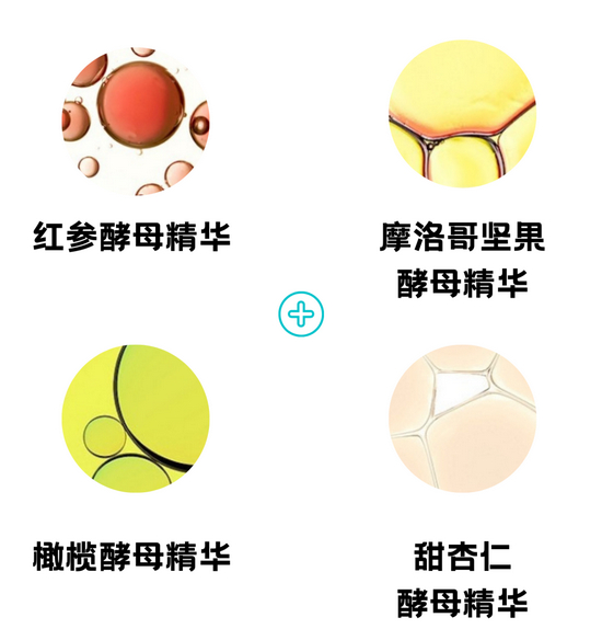 图源官方，由canva制作