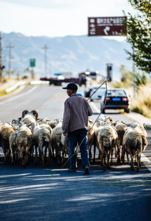 @小红书旮旯Gala