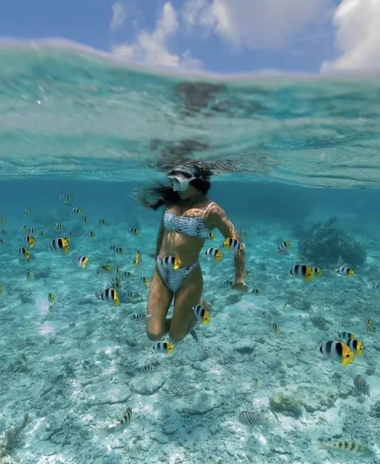 ins@tahititourismenorthamerica