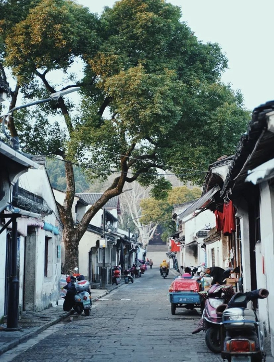 仓桥直街&nbsp;府山横街&nbsp;小红书@梧桐与安安