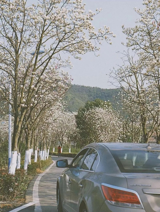 @小红书/莫干山旅游度假区