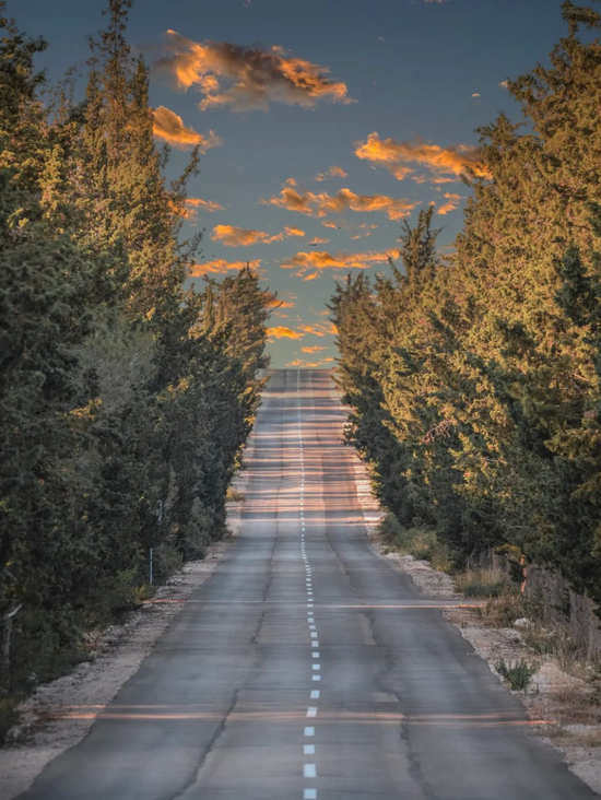 @darko_kesnjer