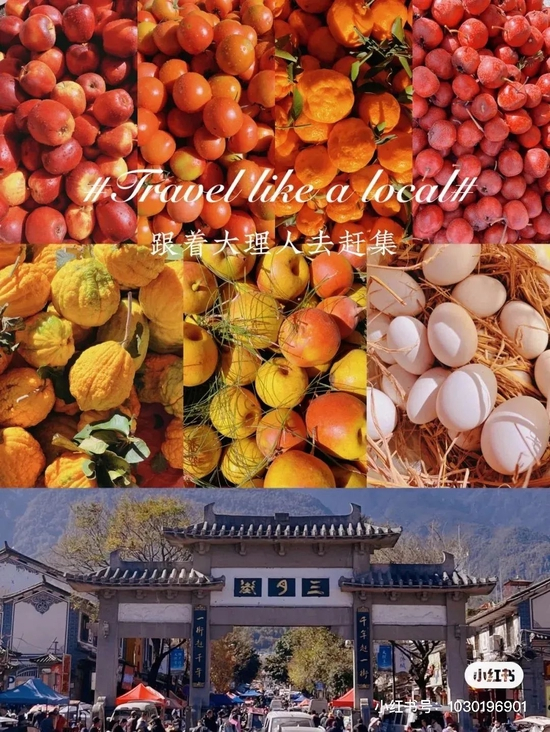  小红书@Yisheng壹生