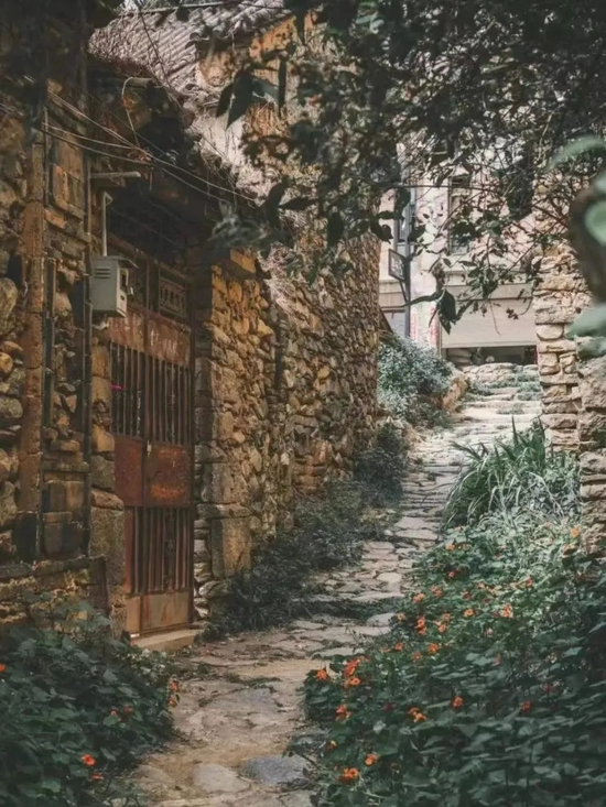  小红书@我是十二