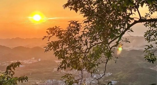  小红书@Nichole-YT