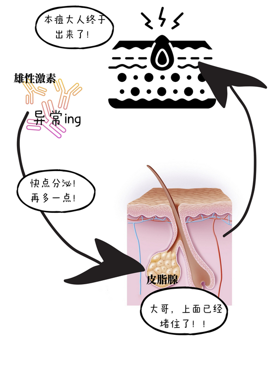 图片来源图虫创意，制作于CANVA，下同
