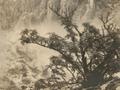 天地悠悠：郎静山的“画意集锦”摄影