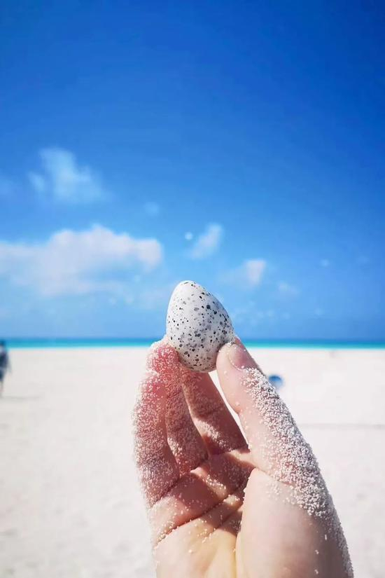 图片：@微博博主bobo的记号