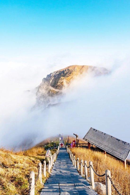 @图虫创意
