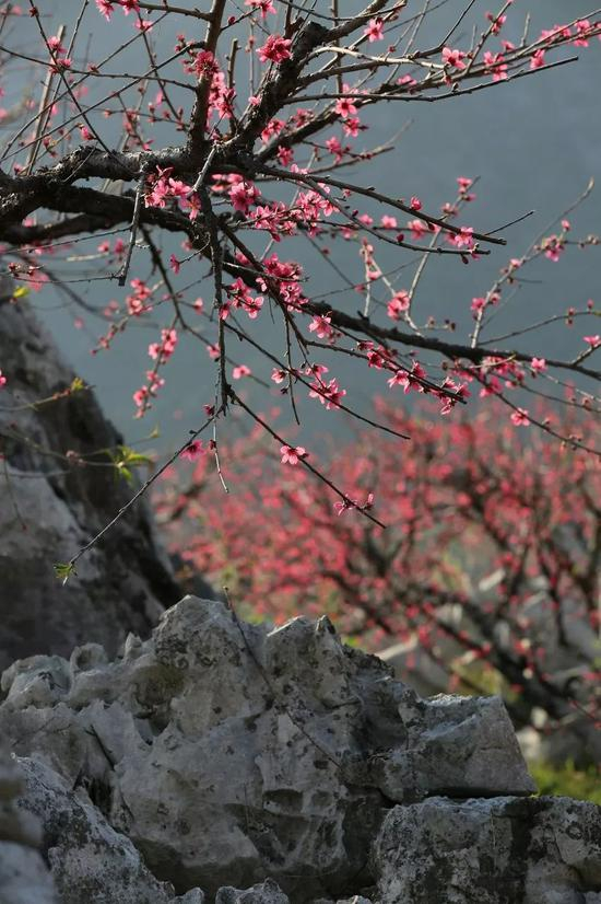 @图虫：佛子摄影