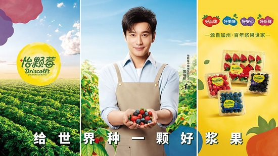 driscolls怡颗莓宣布黄晓明担任品牌代言人
