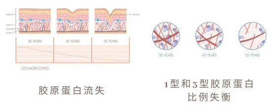 cr：图虫，制图canva