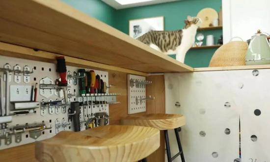 @在家屋主Zitty