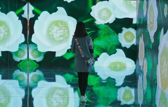 在“棉”大片打造的360度沉浸式光影空间内，观众一秒穿越感受棉的美丽风光