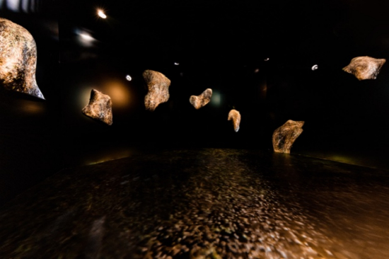 刘佳玉《幻漠之花》