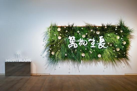 冯唐个人书道展“万物生长”内部空间