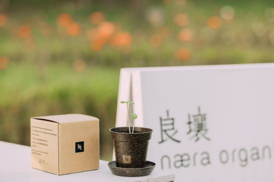 Nespresso浓遇咖啡带来“二次生命”产品咖啡渣盆栽呼吁更多人加入Nespresso胶囊回收计划