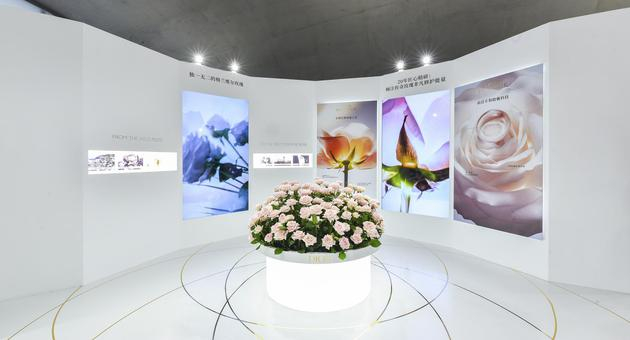 DIOR迪奥花秘瑰萃系列区域