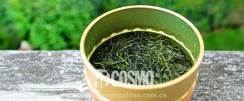 极好的绿茶