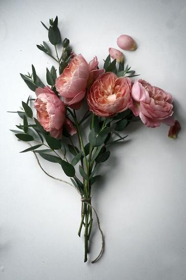 鲜花