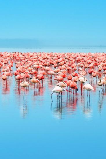 图片来源自textbooktravel.com
