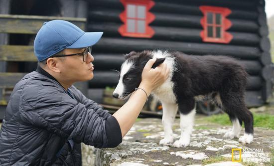 戈萨达鲁尔的牧羊犬