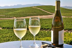 图片来源：VinePair