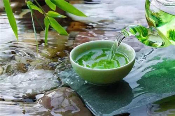 第四种：普洱茶