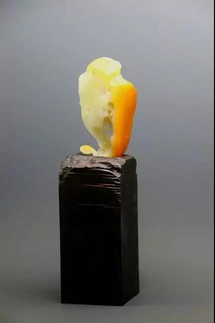 天工奖 生生不息 ·