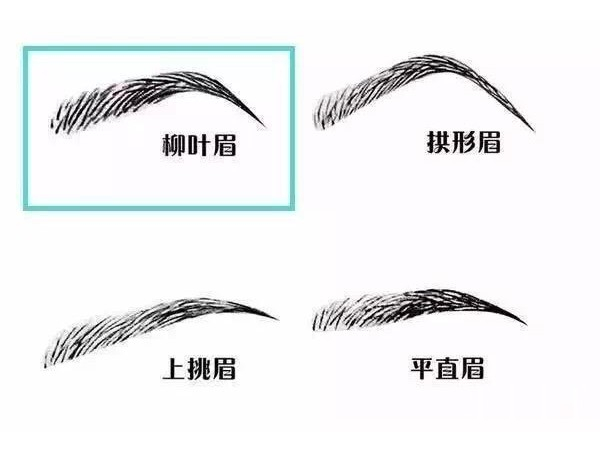 柳叶眉
