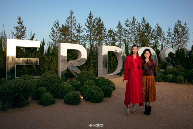 刘雯与王臻合影